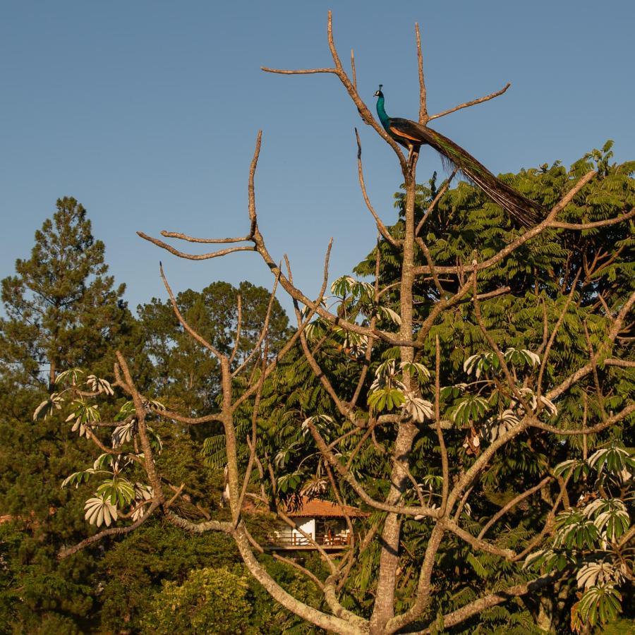 הוילה איטו Fazenda Capoava מראה חיצוני תמונה