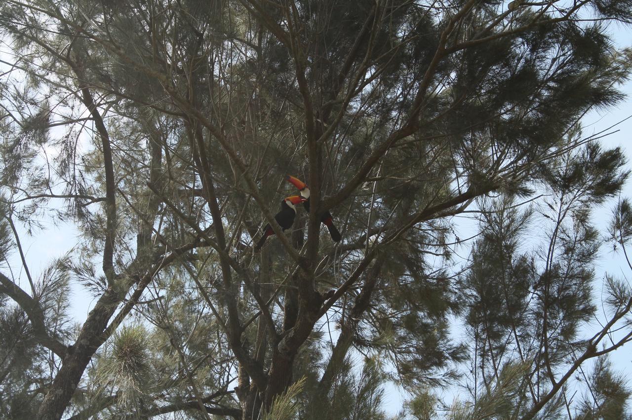 הוילה איטו Fazenda Capoava מראה חיצוני תמונה