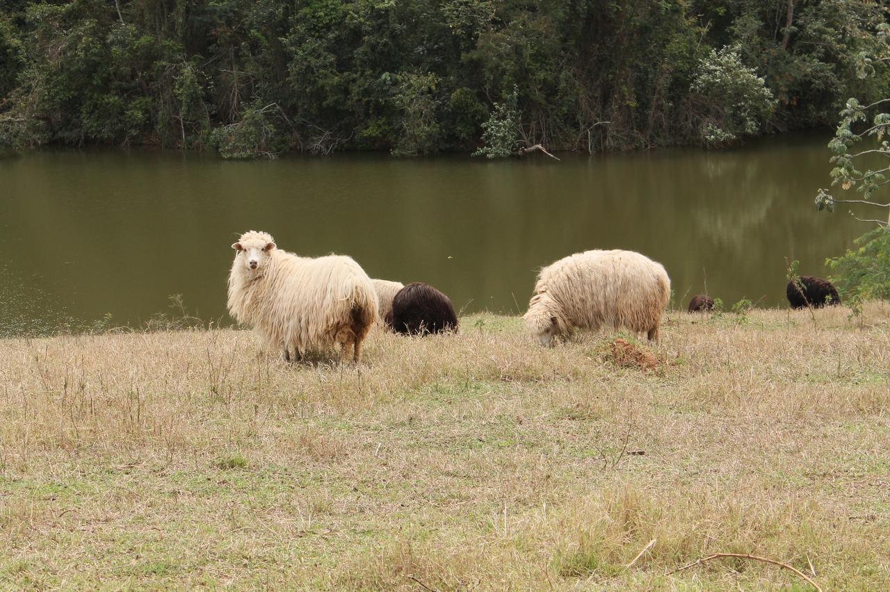 הוילה איטו Fazenda Capoava מראה חיצוני תמונה